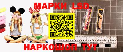 ECSTASY Камышлов