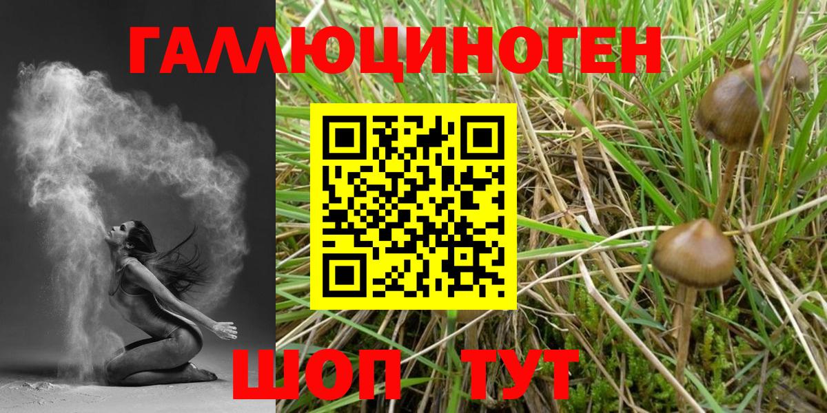 Псилоцибиновые грибы мухоморы  Вход с VPN  Канаш 